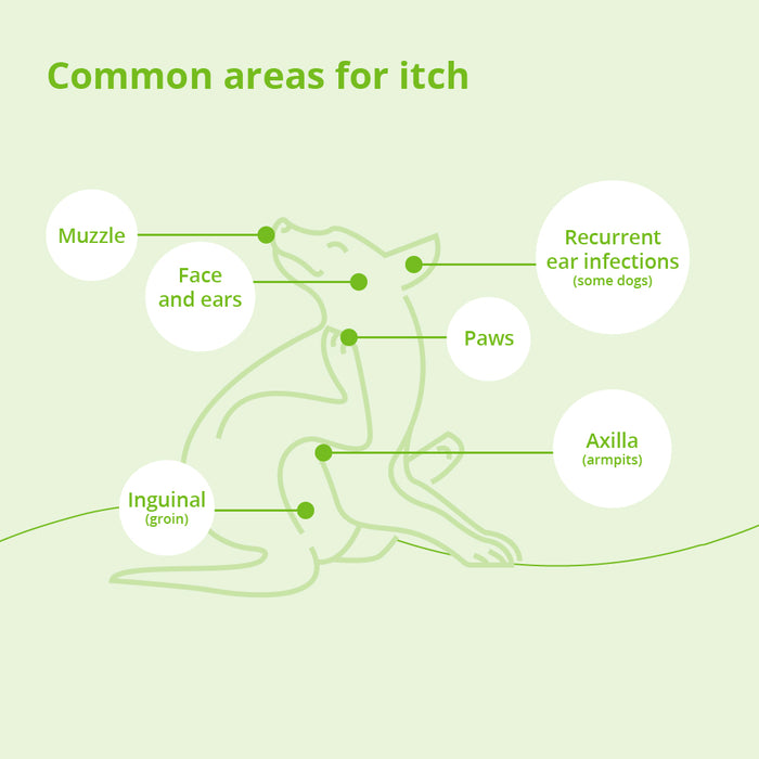Atopivet Spot-On, 8 x 2 mL Pipettes