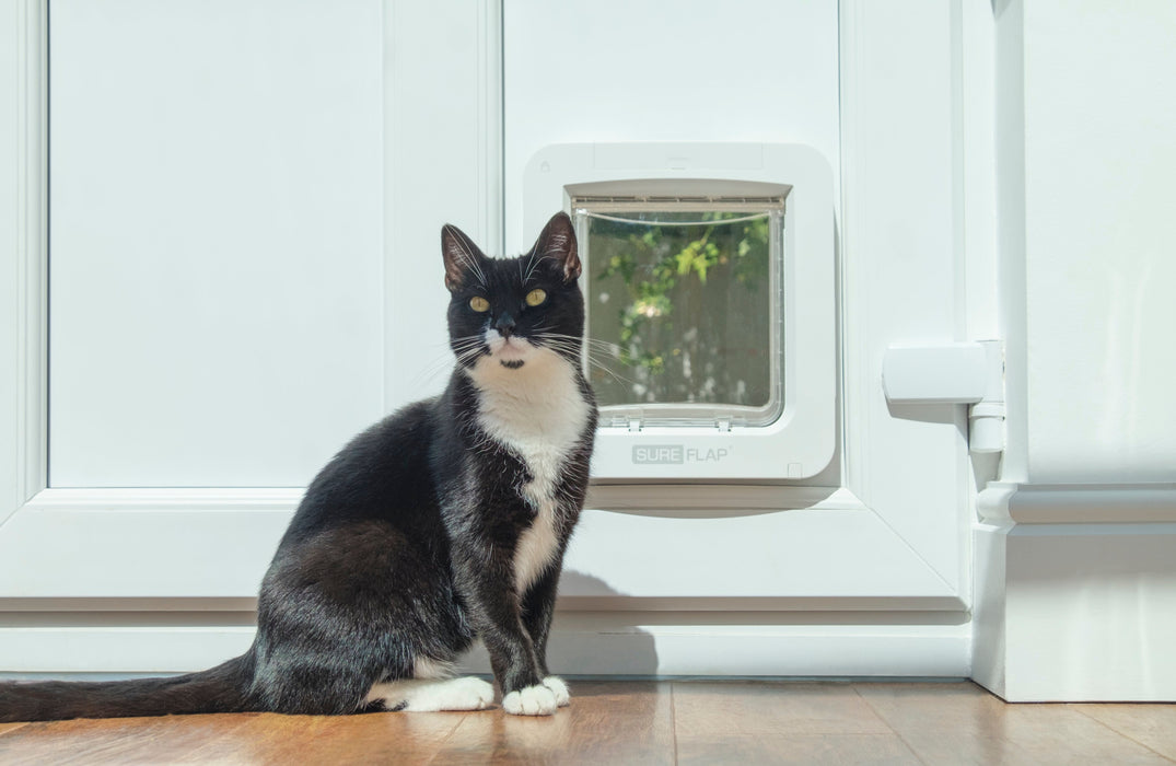 SureFlap Microchip Pet Door Connect Color White
