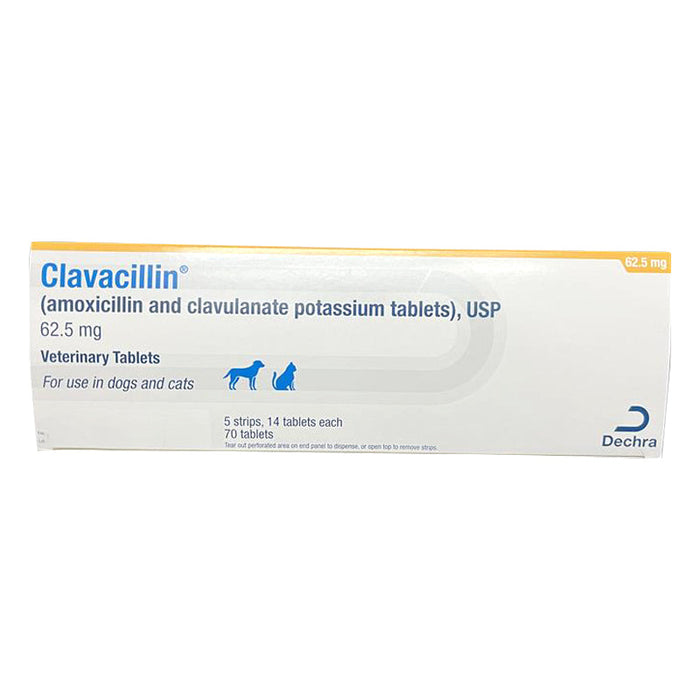 Rx Clavacillin 62.5mg x 70 tablets Size 62.5mg x 70ct