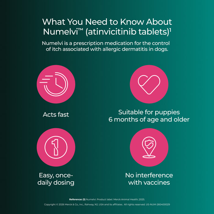Rx Numelvi (atinvicitinib) Tablets for Dogs with Allergic Dermatitis
