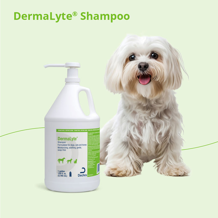 Dermalyte Shampoo for Dogs, Cats & Horses