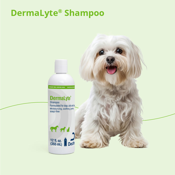 Dermalyte Shampoo for Dogs, Cats & Horses