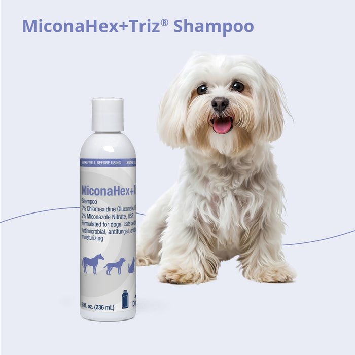 MiconaHex+Triz Medicated Antifungal & Antibacterial Shampoo for Dogs, Cats & Horses