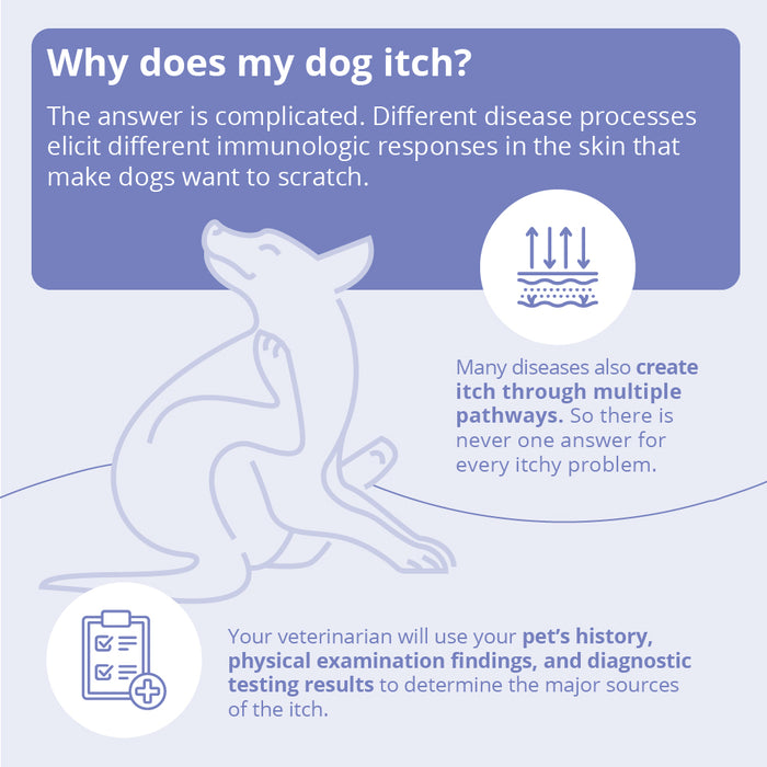 MiconaHex+Triz Antimicrobial Spray Conditioner for Dogs, Cats, and Horses, 8 oz