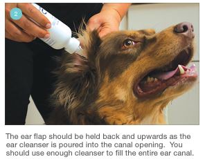 Mal-A-Ket Plus TrizEDTA Flush