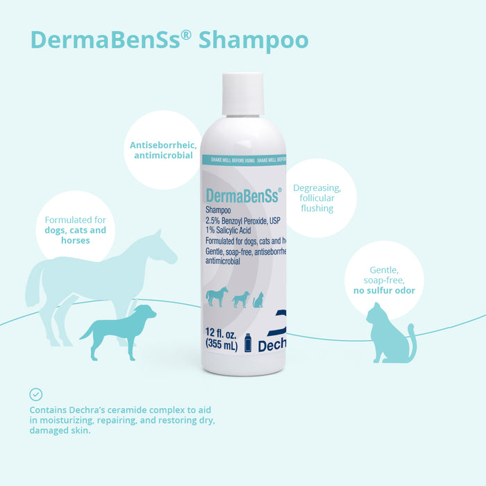 DermaBenSs Medicated Antimicrobial Shampoo for Dogs, Cats & Horses
