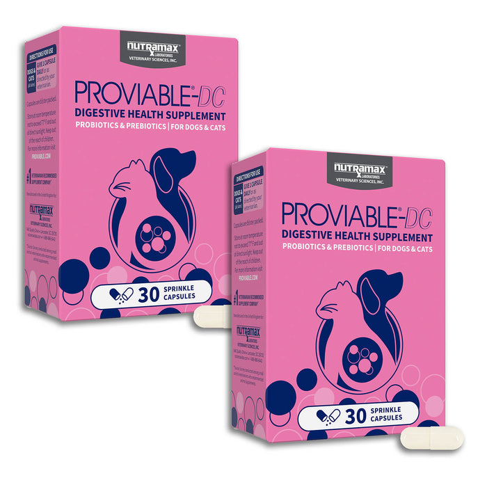 Nutramax Proviable-DC Capsules for Dogs & Cats