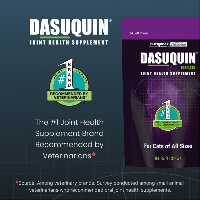 Nutramax Dasuquin Joint Health Supplement for Cats, Soft Chews