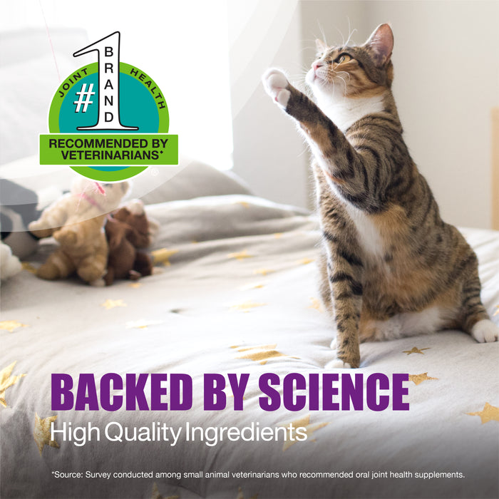 Nutramax Dasuquin Joint Health Supplement for Cats, Soft Chews