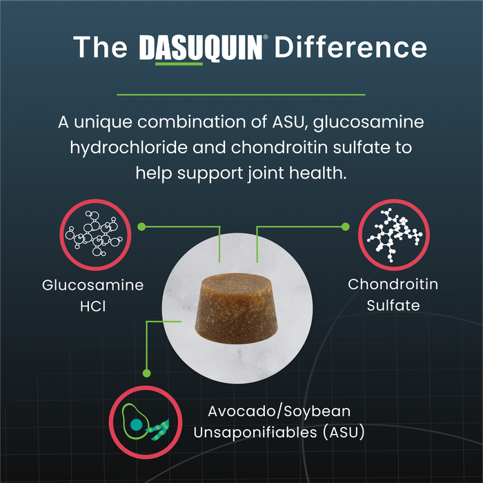 Nutramax Dasuquin Senior Joint Health Supplement for Dogs, 84 Soft Chews