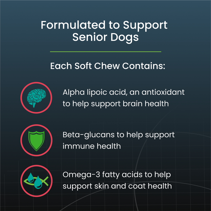 Nutramax Dasuquin Senior Joint Health Supplement for Dogs, 84 Soft Chews