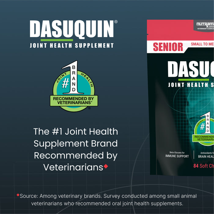 Nutramax Dasuquin Senior Joint Health Supplement for Dogs, 84 Soft Chews