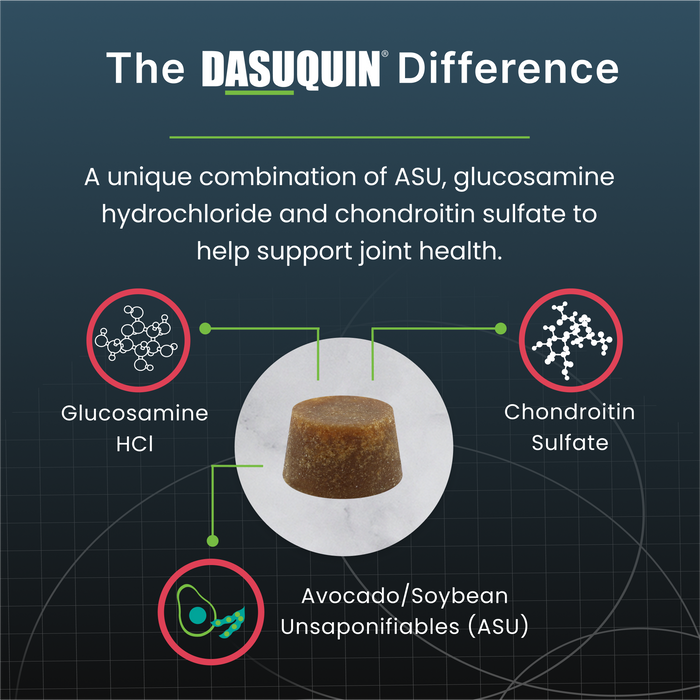 Nutramax Dasuquin Senior Joint Health Supplement for Dogs, 84 Soft Chews