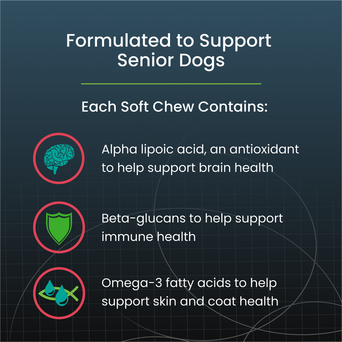 Nutramax Dasuquin Senior Joint Health Supplement for Dogs, 84 Soft Chews