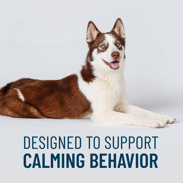 Nutramax Solliquin Soft Chews, 75 ct