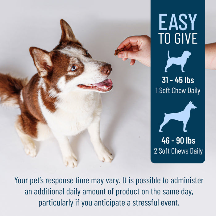 Nutramax Solliquin Soft Chews, 75 ct