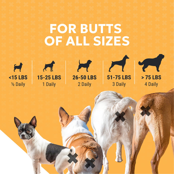 Nutramax Filaquin Anal Gland Supplement for Dogs, From the Makers of Proviable, with a Fiber Blend, Prebiotics, and Postbiotics for Digestive Health Support, 90 Count Soft Chews Size 90