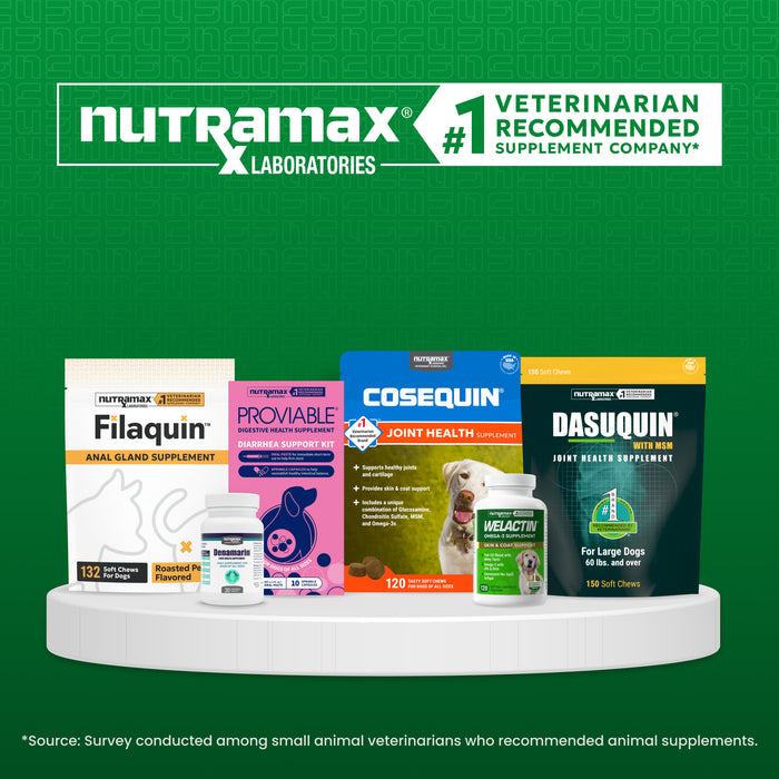 Nutramax Welactin Daily Omega-3 Supplement For Dogs, 60 Soft Chews