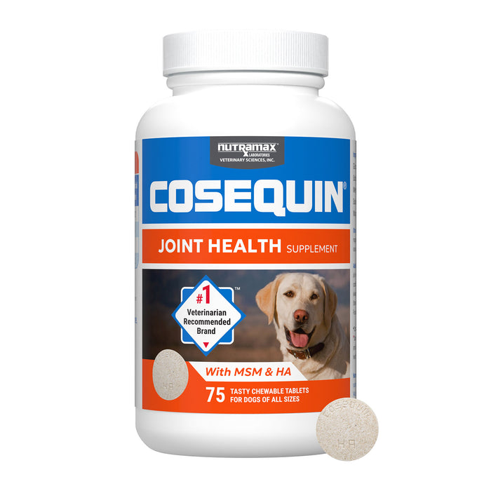 Nutramax Cosequin Maximum Strength Joint Health Plus MSM & Ha Supplement for Dogs
