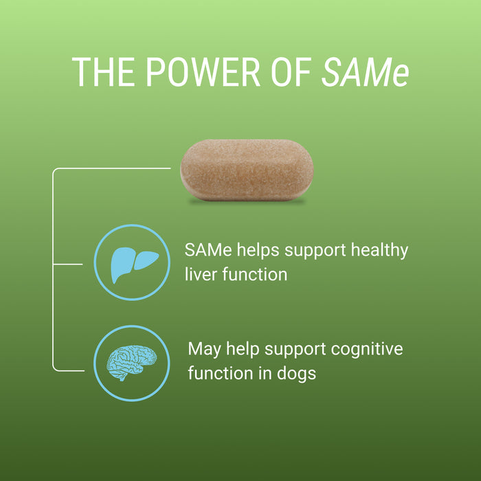 Nutramax Denosyl Liver and Brain Health Supplement