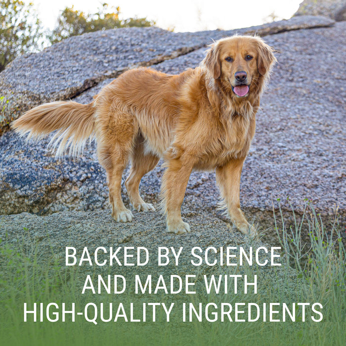 Nutramax Denosyl Liver and Brain Health Supplement