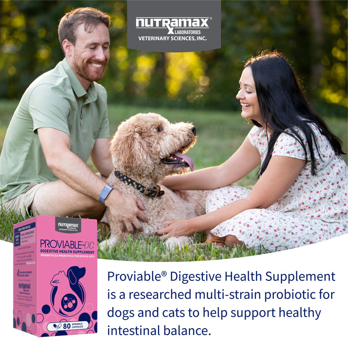 Nutramax Proviable-DC Capsules for Dogs & Cats