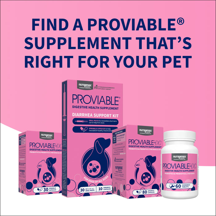 Nutramax Proviable-DC Capsules for Dogs & Cats