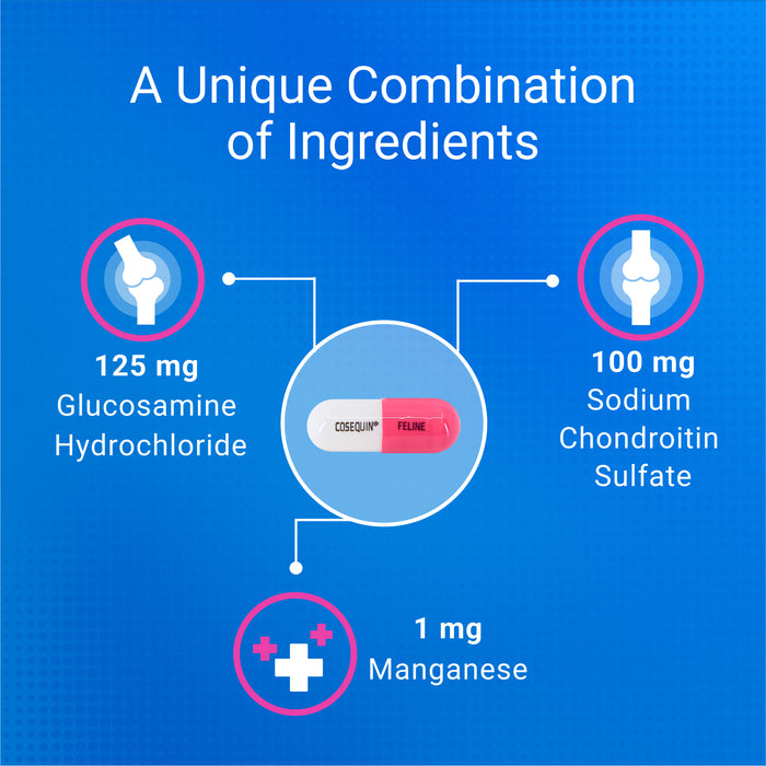 Nutramax Cosequin Joint Health with With Glucosamine and Chondroitin Supplement for Cats, 80 Capsules