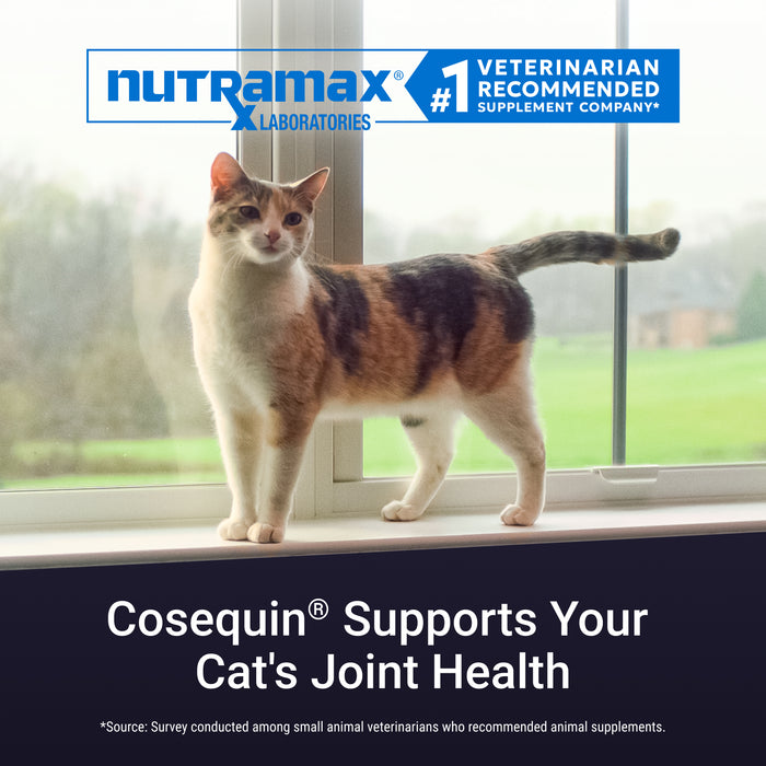 Nutramax Cosequin Joint Health with With Glucosamine and Chondroitin Supplement for Cats