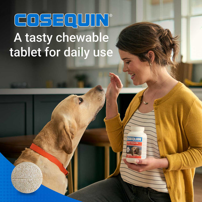 Nutramax Cosequin Maximum Strength Joint Health Plus MSM Supplement for Dogs, Chewable Tablets