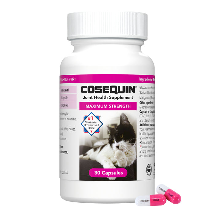 Nutramax Cosequin Maximum Strength Joint Supplement for Cats