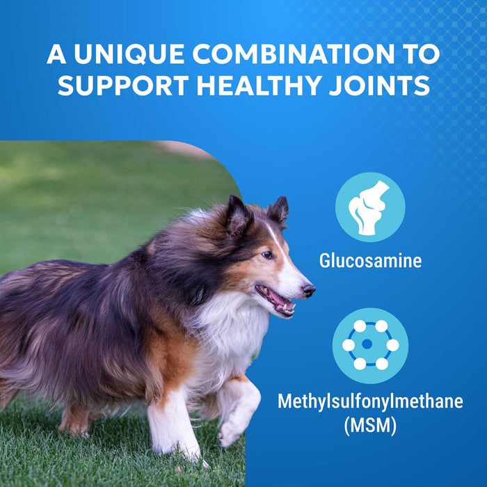 Nutramax Cosequin Standard Strength Joint Health Supplement for Dogs, With Glucosamine and MSM
