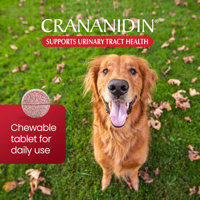 Nutramax Crananidin - Cranberry Extract Urinary Tract Health Supplement for Dogs, 75 Chewable Tablets
