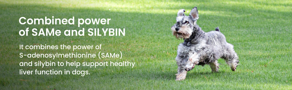 Nutramax Denamarin Liver Health, Stabilized Tablets