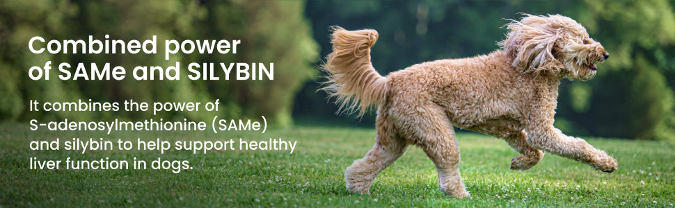 Nutramax Denamarin Liver Health, Stabilized Tablets