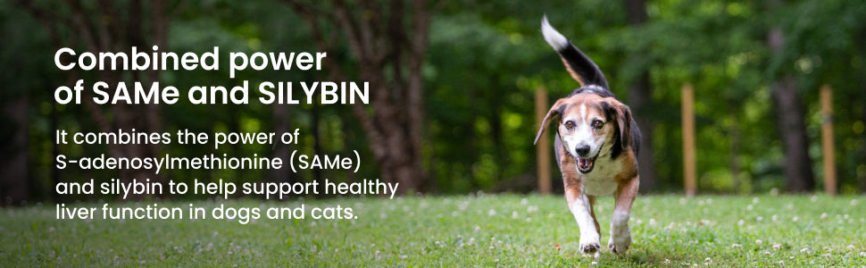 Nutramax Denamarin Liver Health, Stabilized Tablets