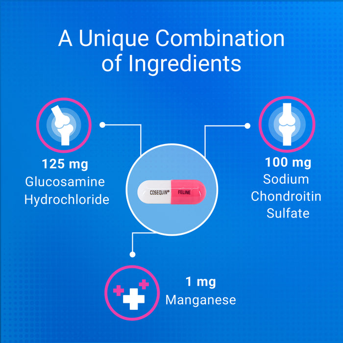 Nutramax Cosequin Maximum Strength Joint Supplement for Cats