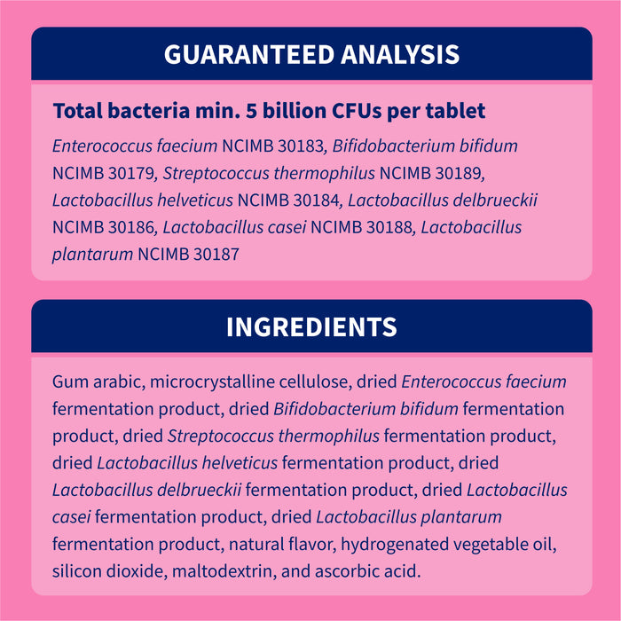 Nutramax Proviable-DC Chew Tablets for Dogs, 60 ct