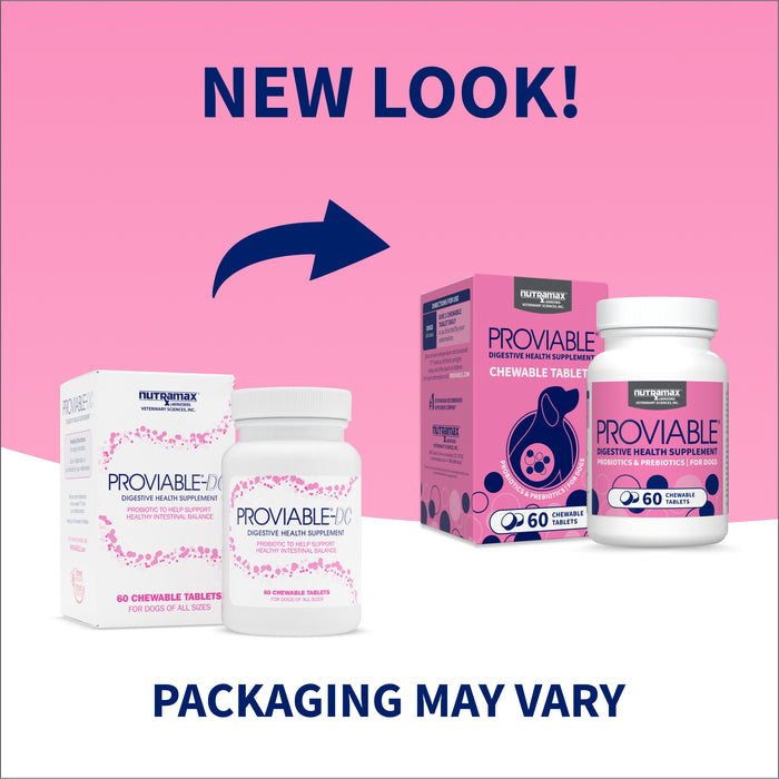 Nutramax Proviable-DC Chew Tablets for Dogs, 60 ct