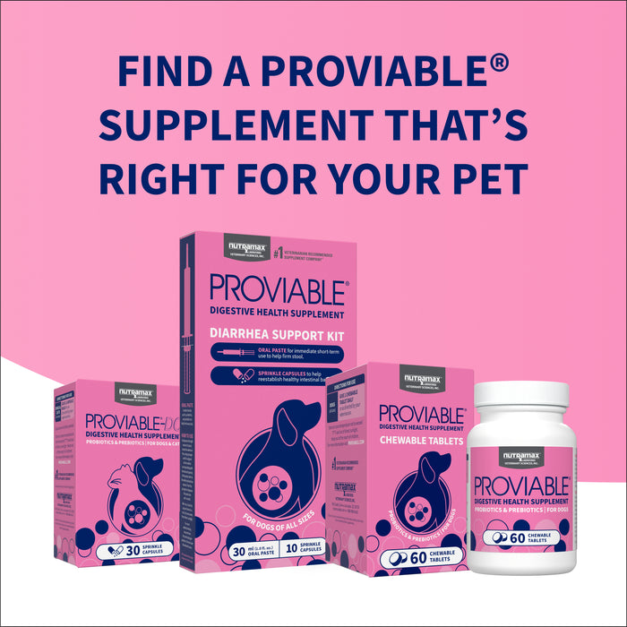 Nutramax Proviable-DC Chew Tablets for Dogs, 60 ct