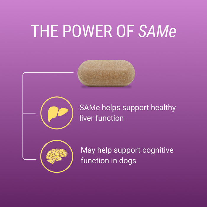 Nutramax Denosyl Liver and Brain Health Supplement