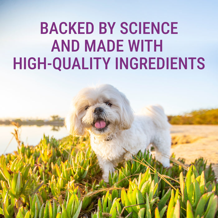 Nutramax Denosyl Liver and Brain Health Supplement