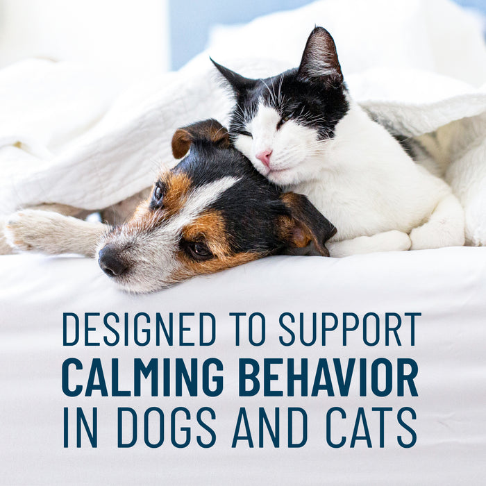 Nutramax Solliquin Soft Chews, 75 ct