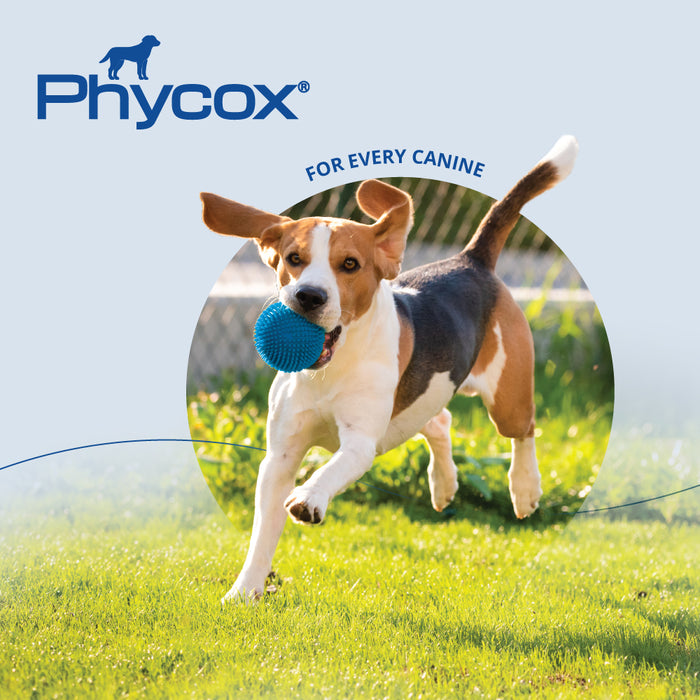 Phycox HA (Hypo-Allergenic) Small Bites for Dogs, 120 ct