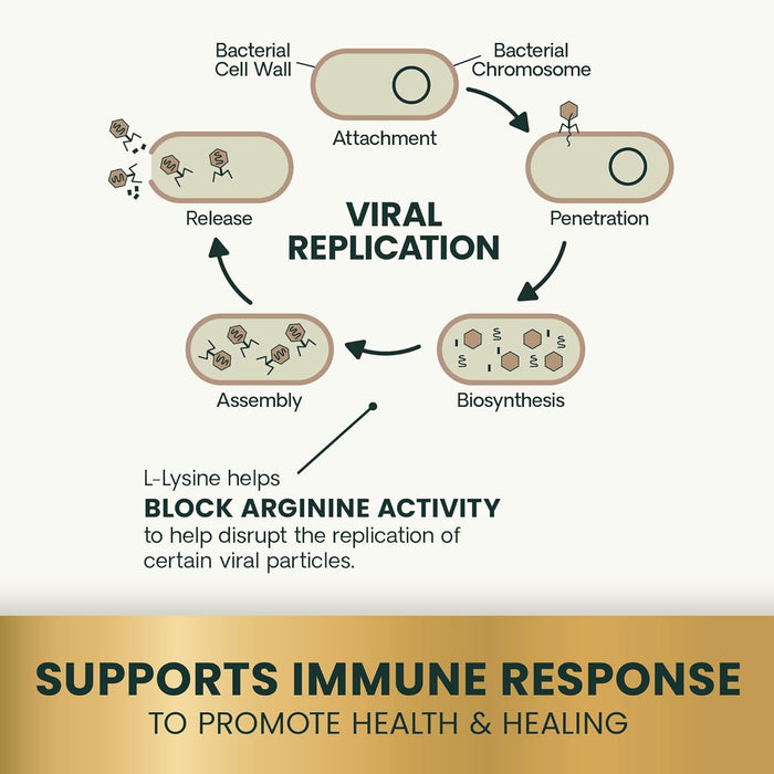 Vetri Lysine Plus for Cats, 120 Bite-Sized Chews
