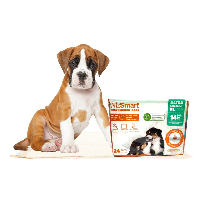 WizSmart Heavyweight Ultra Absorbent Pads for Dogs