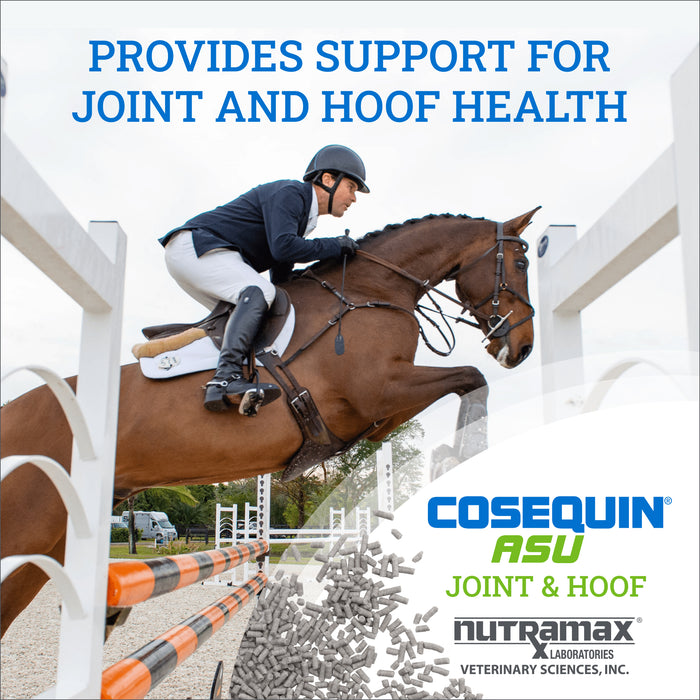 Nutramax Cosequin ASU Joint & Hoof Pellets Joint Health Supplement for Horses
