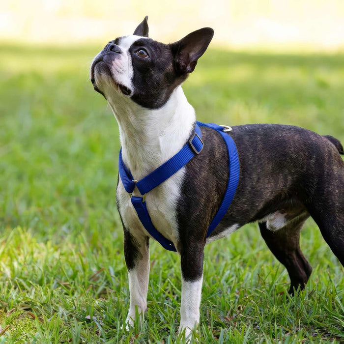 Jeffers Adjustable Nylon Dog Harness