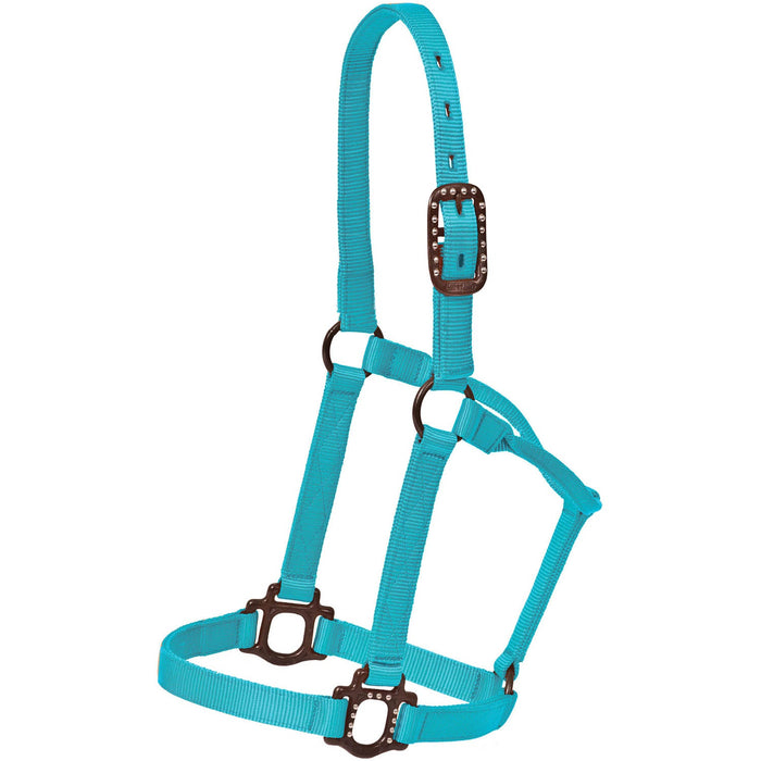 Mustang Nylon Halter with Antique Dot Hardware Size Horse