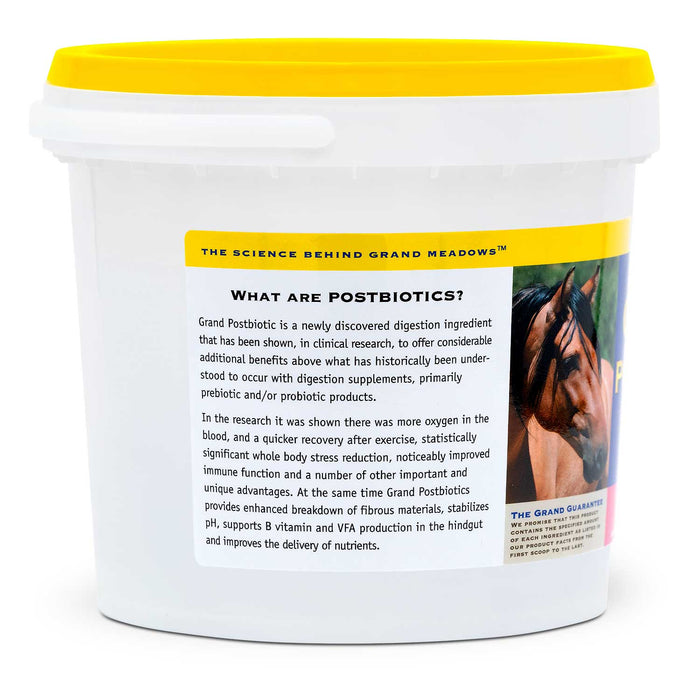 Grand Postbiotic Digestion Supplement for Horses